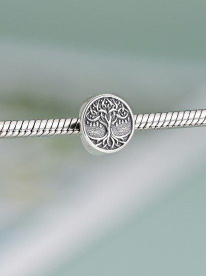 Шарм из серебра