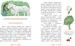 Чудо-жеребёнок. Бурятские сказки - Фото 1