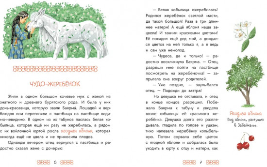 Чудо-жеребёнок. Бурятские сказки