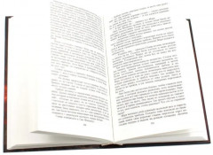 Пропавший легион. Мечи легиона. Комплект из 2 книг - Фото 3