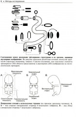 Гистология. Атлас для практических занятий - Фото 3