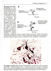 Гистология. Атлас для практических занятий - Фото 4