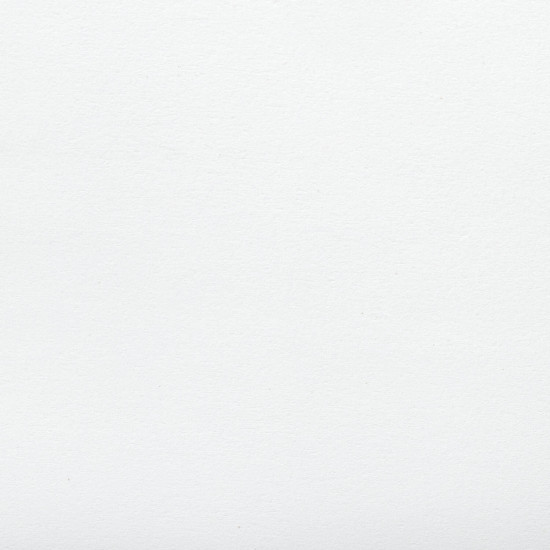 Бумага для гуаши «Мальчик с гусём»