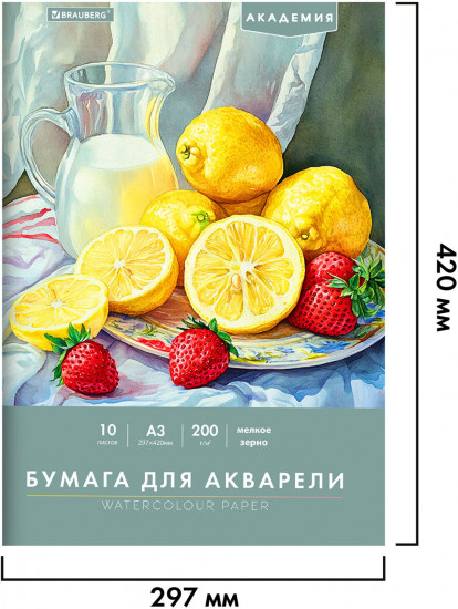 Папка для акварели «Летний натюрморт»