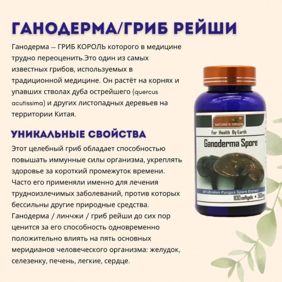 Капсулы «Ganoderma Spore»