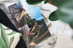 Динозавры. Битвы на берегу - Фото 5