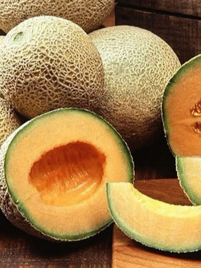 Семена дыни «Бест Джумбо»