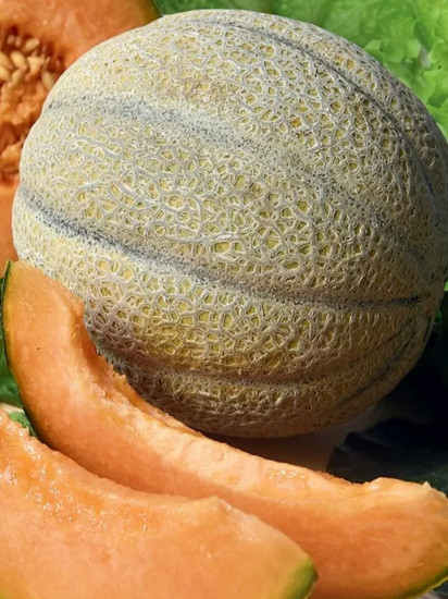 Семена дыни «Бест Джумбо»