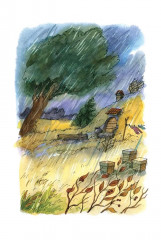 Как ёжик с медвежонком... - Фото 10