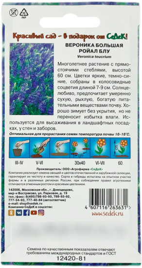 Семена вероники «Ройал Блу»