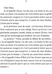 Oscar Et La Dame Rose. Оскар и Розовая дама - Фото 1