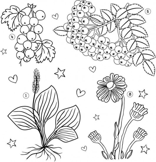 Кроссворды о безопасности