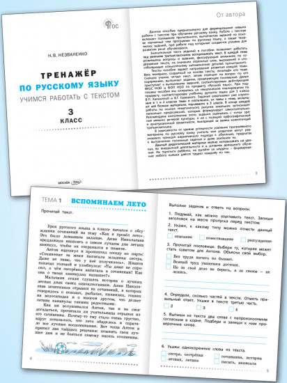 Тренажёр по русскому языку. Учимся работать с текстом. 3 класс