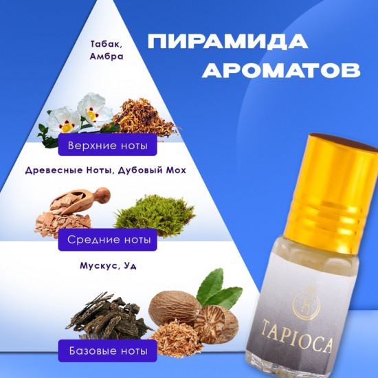 Духи масляные мужские «Tapioca»