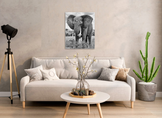 Картина «Хозяин джунглей»