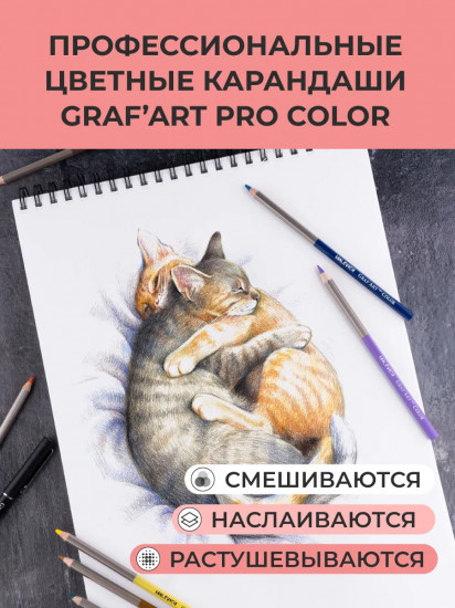 Набор карандашей цветных Color «Портрет»