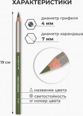 Набор карандашей цветных Color «Портрет» - Фото 9