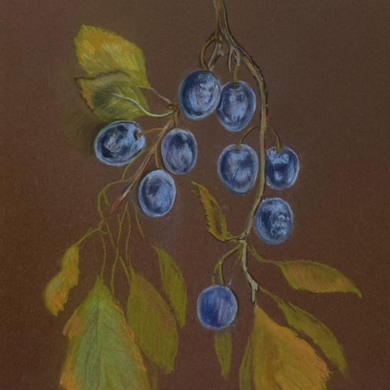 Бумага для пастели, серый теплый