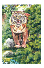 Стихи золотого месяца - Фото 10