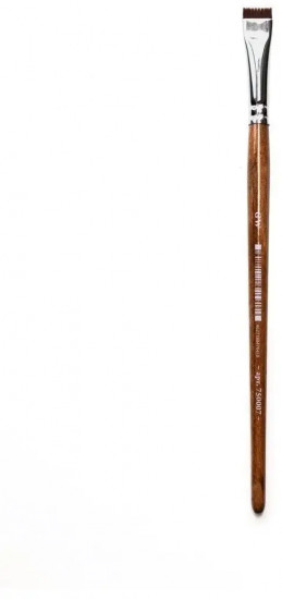 Кисть-ластик