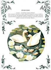 Цветок репейника - Фото 8