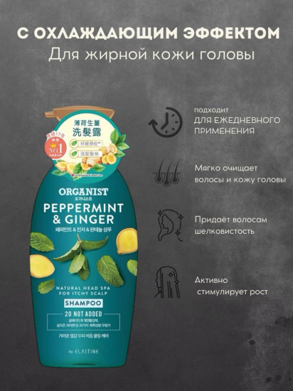 Шампунь для волос «Pepermint & Ginger»