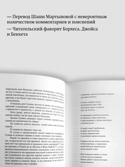 У Плыли-Две-Птицы