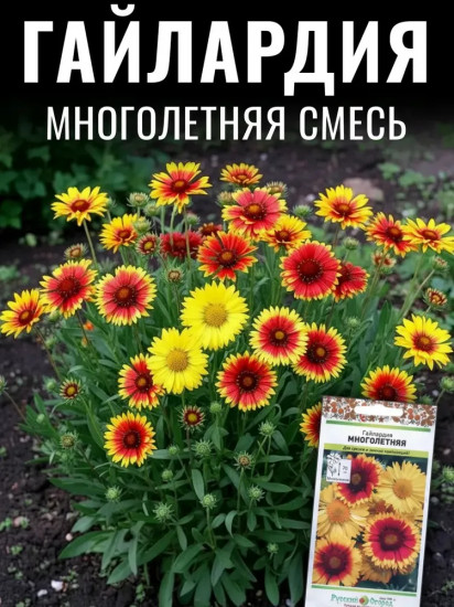 Семена гайлардии «Многолетняя смесь»