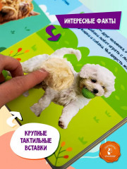 Мои питомцы - Фото 4