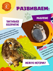 Мои питомцы - Фото 5