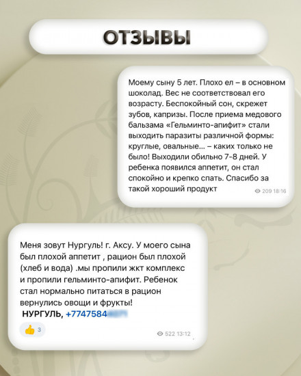 Медовый бальзам «Гельминто-апифит»