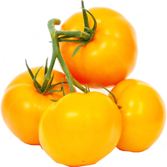 Семена томатов «Лимонад F1»