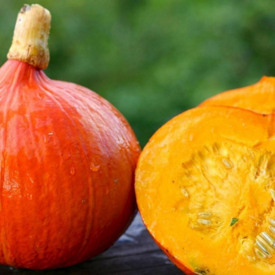 Семена тыквы «Оранж Сан»