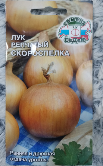 Лук репчатый «Скороспелка»