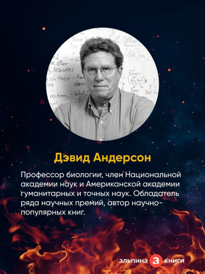 Природа зверя. Как эмоции управляют людьми и другими животными