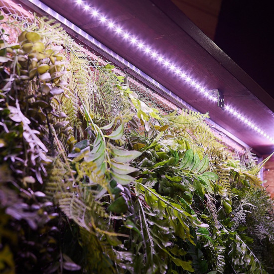 Лента светодиодная для растений