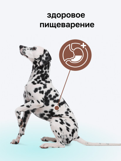 Консервы для поддержание здоровья пищеварительной системы собак «Gastrointestinal»