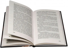 Кольцо Соломона. Записки православного опера - Фото 2