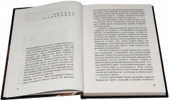 Кольцо Соломона. Записки православного опера - Фото 3