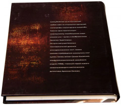 Кольцо Соломона. Записки православного опера - Фото 4