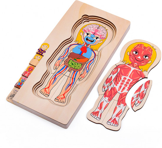 Пазл-вкладыш «Девочка»