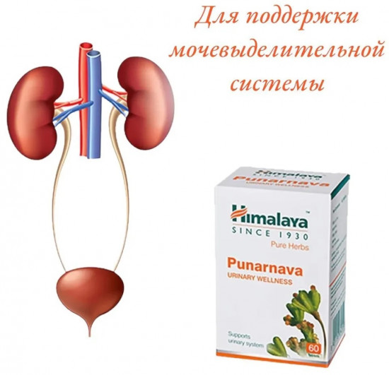Препарат для здоровья мочевыводящих путей «Punarnava»