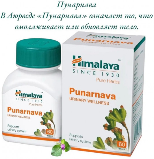 Препарат для здоровья мочевыводящих путей «Punarnava»
