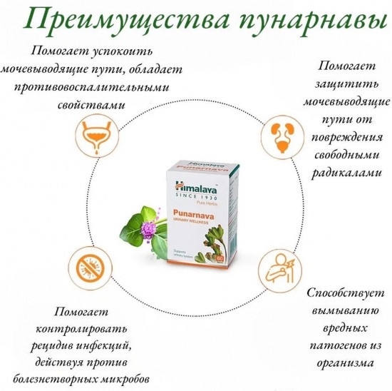 Препарат для здоровья мочевыводящих путей «Punarnava»
