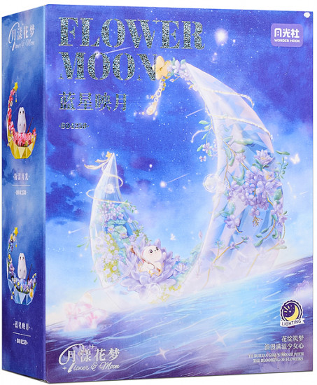 Конструктор «Голубая звезда на Луне»