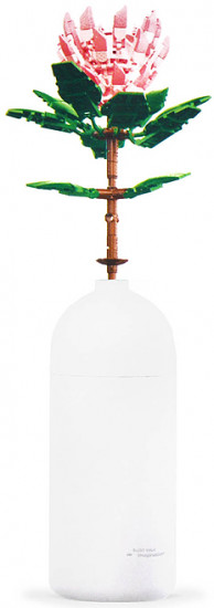 Конструктор «Протея »