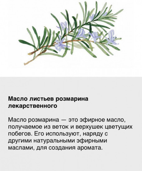 Восстанавливающий шампунь «Rosemary Revitalizing Shampoo»