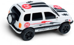 Автотрек «Параллельные гонки» - Фото 12