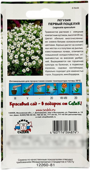 Семена легузии «Первый поцелуй»