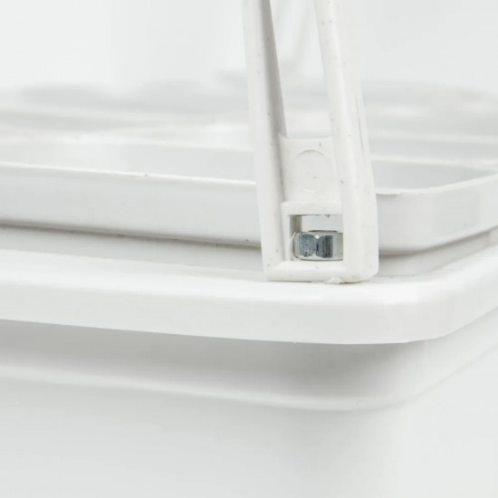 Набор для выращивания растений «Минисад»